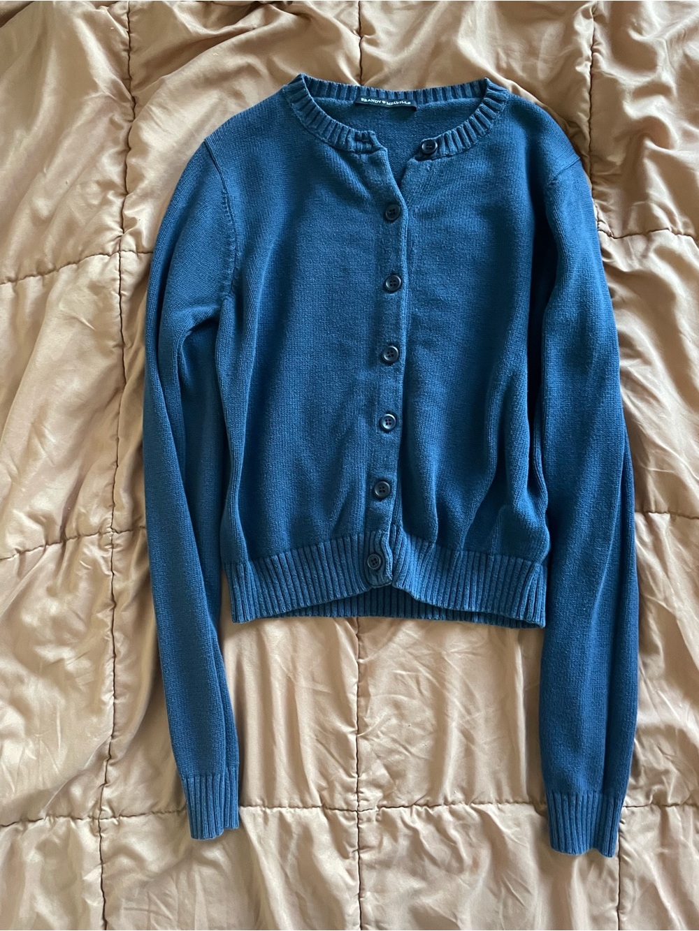 Brandy Melville Blue Button-Up Cardigan XS/S